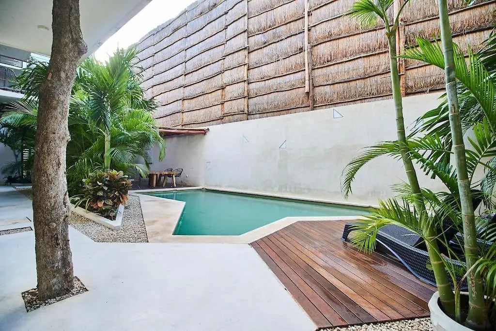 טולום Saskab 11 Private Rooftop&Pool Jungle View 2Br Ph מקסיקו